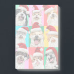Dogs and Cats with Santa Beard Post-it Notes<br><div class="desc">Merry Cuteness! | Avanti, the Global Humour Brand™ has been entertaining the world with its Feel Good Funny greeting cards for over 40 years. Our characters live life to the fullest and celebrate the humour in everyday life.</div>