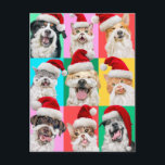 Dogs and Cats with Santa Beard Postcard<br><div class="desc">Merry Cuteness! | Avanti, the Global Humour Brand™ has been entertaining the world with its Feel Good Funny greeting cards for over 40 years. Our characters live life to the fullest and celebrate the humour in everyday life.</div>