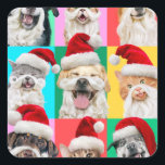 Dogs and Cats with Santa Beard Square Sticker<br><div class="desc">Merry Cuteness! | Avanti, the Global Humour Brand™ has been entertaining the world with its Feel Good Funny greeting cards for over 40 years. Our characters live life to the fullest and celebrate the humour in everyday life.</div>