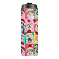 Dogs and Cats with Santa Beard