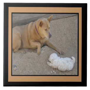 Dogs and Friendship Tile