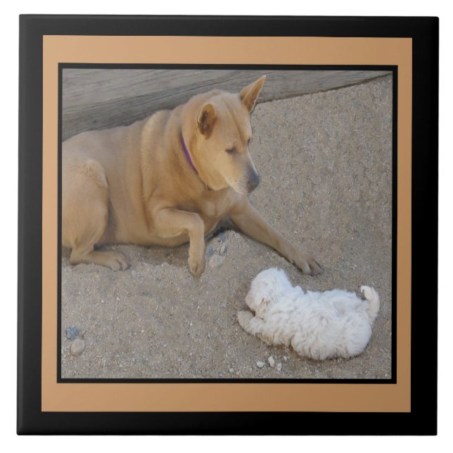 Dogs and Friendship Tile (Front)