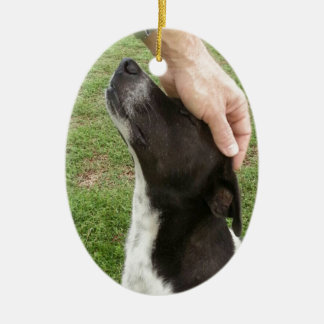 Dog's are a man's best friend! ceramic ornament
