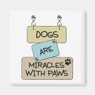 Dogs are Miracles with paws square magnet