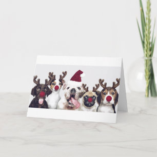 Dogs as Reindeers Christmas Card