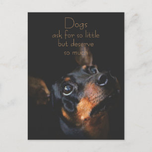 Dogs Ask For So Little / Doberman Pinscher Postcard