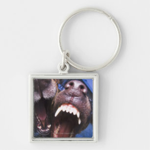 Dogs barking keychain
