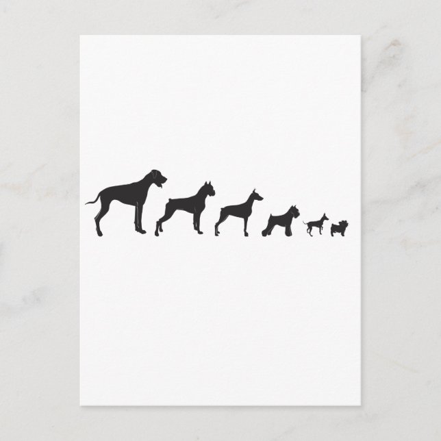 Dogs, both Big and Small Postcard (Front)