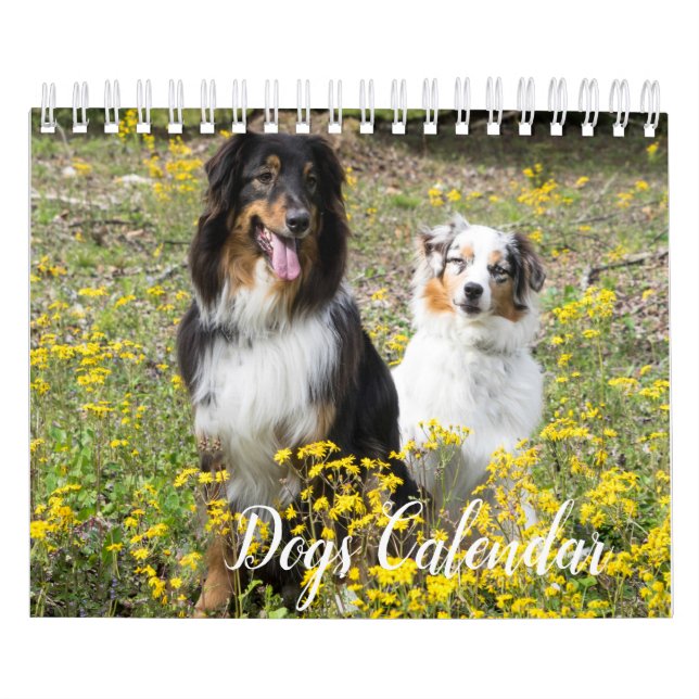  Dogs Calendar (Cover)