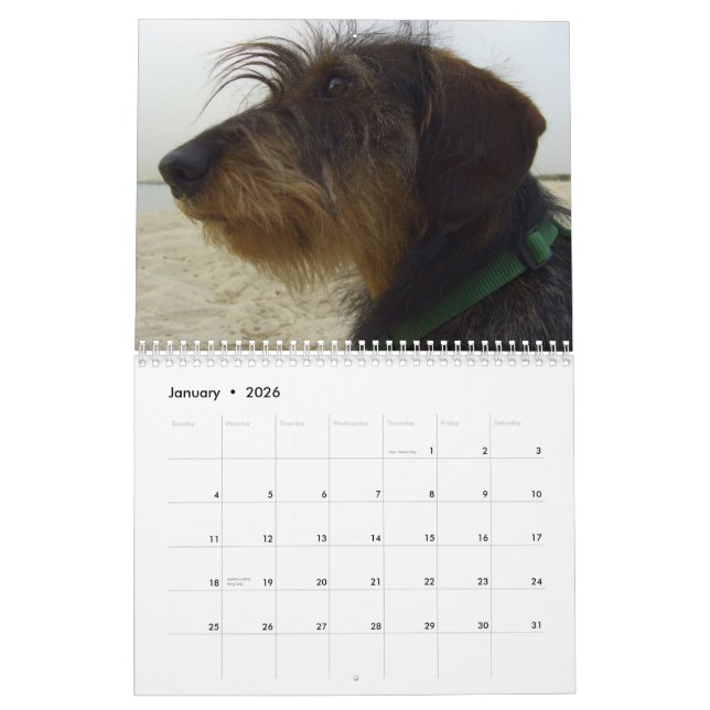 Dogs calendar for 2010 (Jan 2026)
