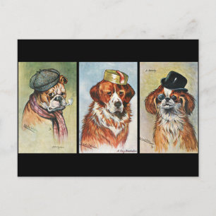 Dogs, cartoon triptych postcard