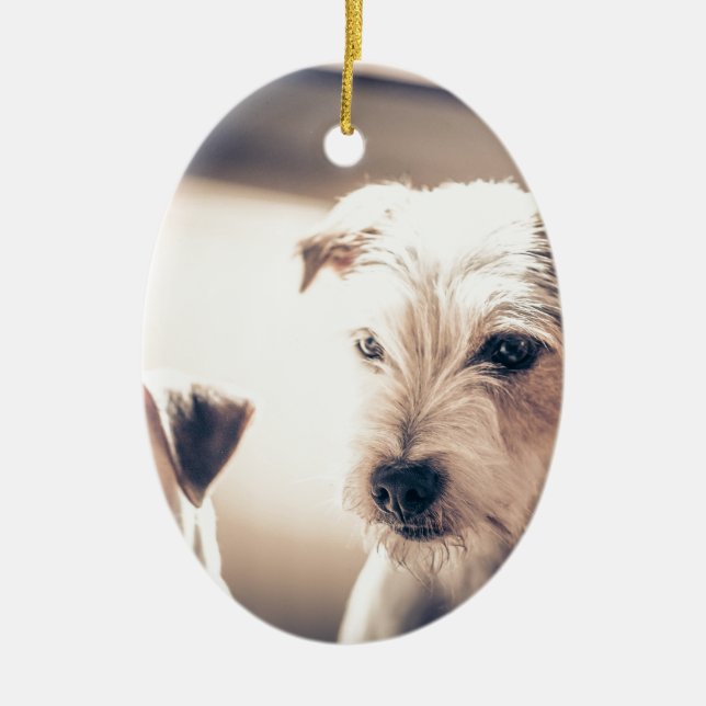 dogs ceramic ornament (Front)