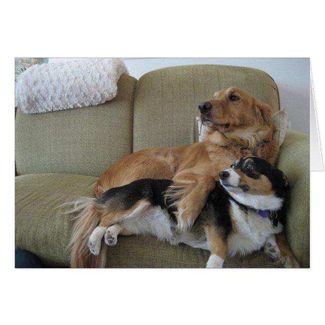 Dogs Cuddling Cute Golden Retriever Corgi Card (Front Horizontal)