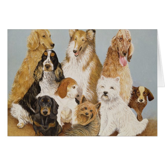 Dogs' Dinner (Front Horizontal)