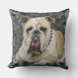 Dogs, english bulldogge, grim looking,pillow throw pillow