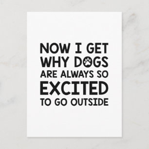 Dogs Excited Postcard