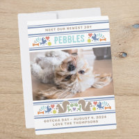 Dog's Favourite Things Gotcha Day Announcement