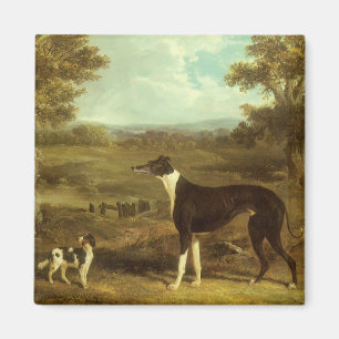 Dogs, Greyhound and Spaniel, Doctor Fop by Herring Magnet