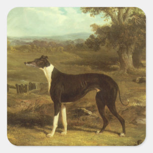 Dogs, Greyhound and Spaniel, Doctor Fop by Herring Square Sticker