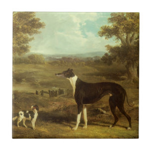 Dogs, Greyhound and Spaniel, Doctor Fop by Herring Tile