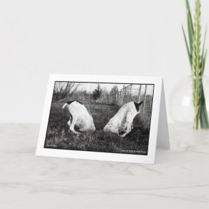 Dogs in a Hole Card