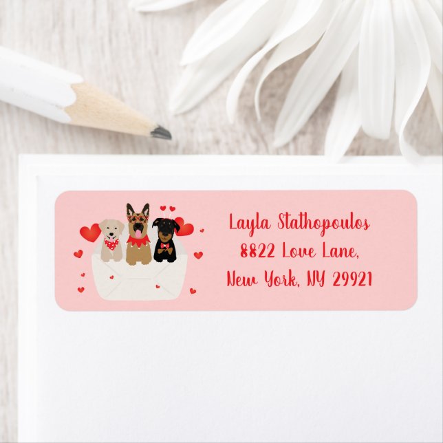 Dogs In Envelope Love (Insitu)