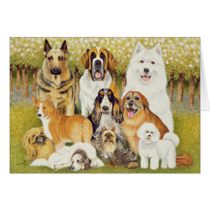 Dogs in May