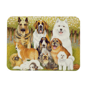 Dogs in May Magnet