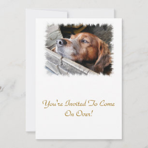 DOGS INVITATION