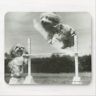 Dogs jumping over miniature high jump bar mouse pad