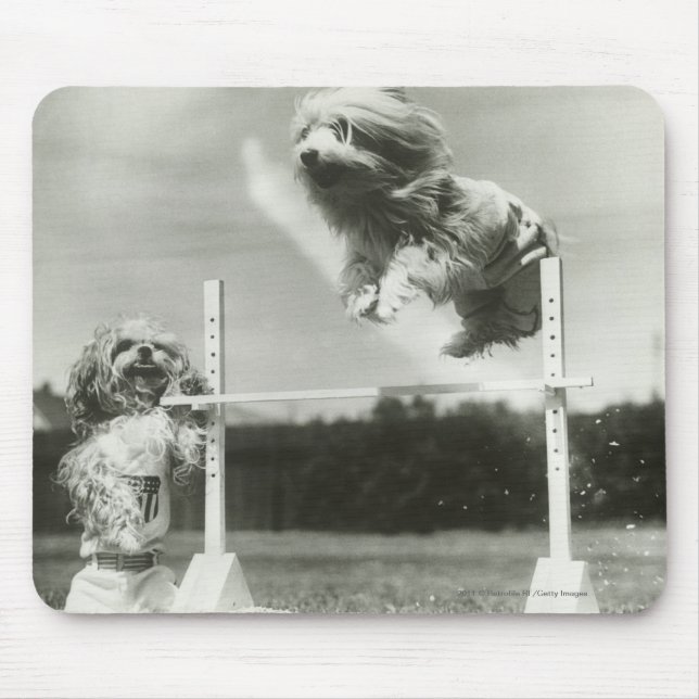 Dogs jumping over miniature high jump bar mouse pad (Front)
