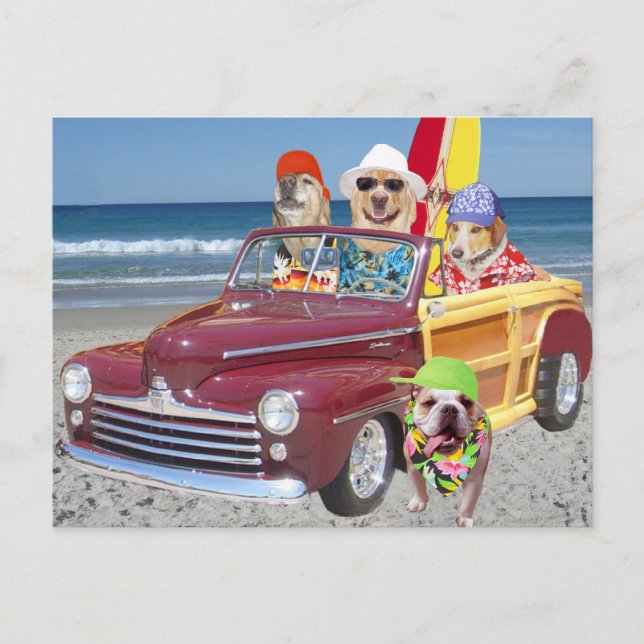 Dogs/Labs on the Beach in a Woodie Postcard (Front)