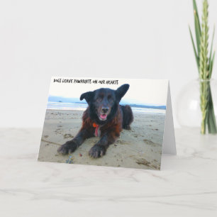 Dogs Leave PawPrints - Dog Greeting Card
