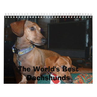 dogs looking away, The World's Best Dachshunds Calendar