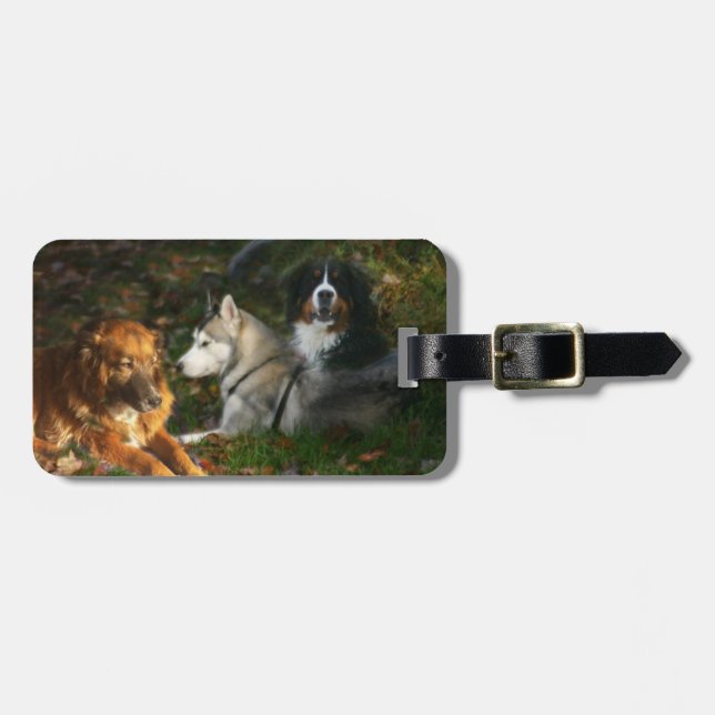 Dogs Luggage Tag (Front Horizontal)
