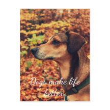 DOGS MAKE LIFE BETTER Postcard for dogs lovers