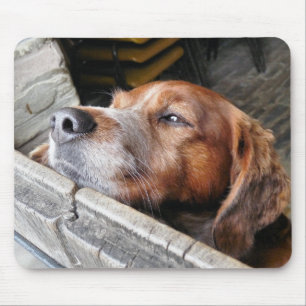 DOGS MOUSE PAD