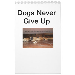 Dogs Never Give Up Calendar Storybook
