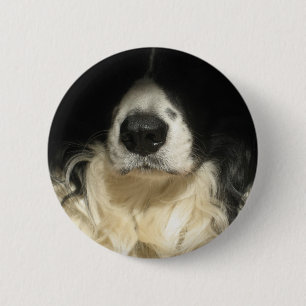 Dog's nose close up 2 inch round button