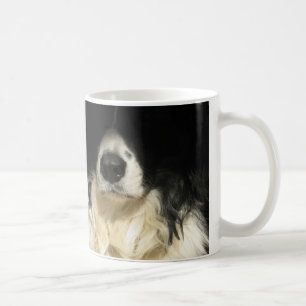 Dog's nose close up mug