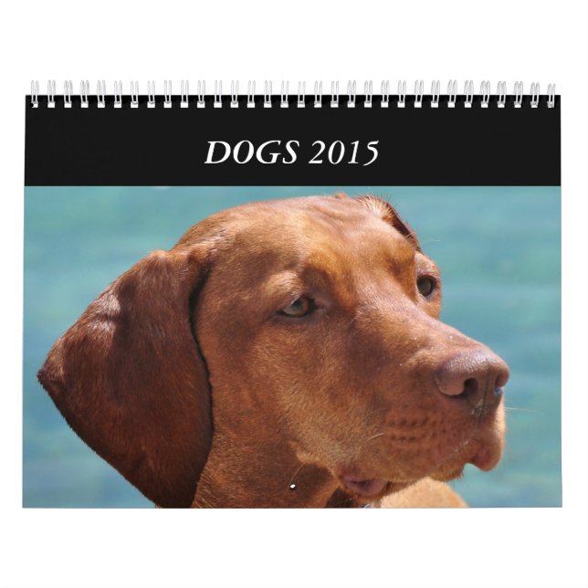 Dogs of All Seasons 2015 Calendar (Cover)