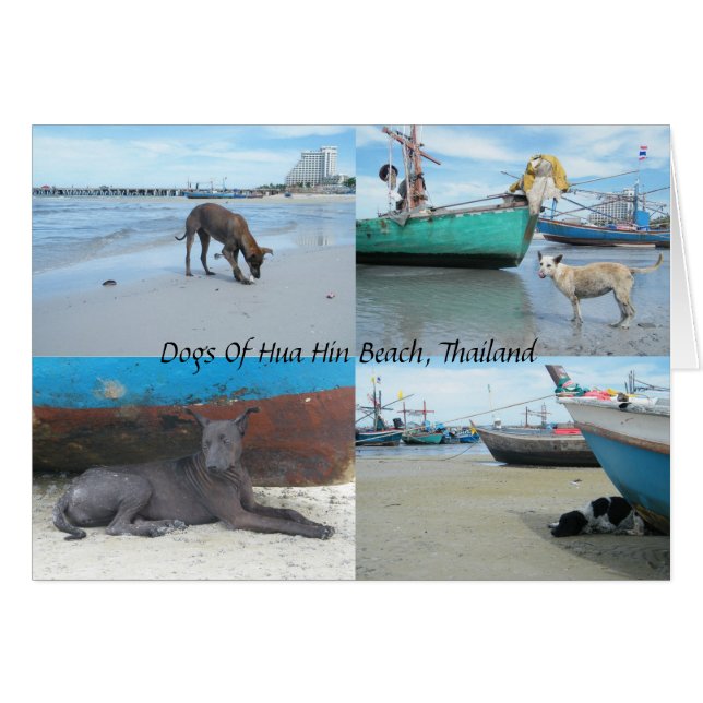Dogs Of Hua Hin Beach, Thailand (Front Horizontal)