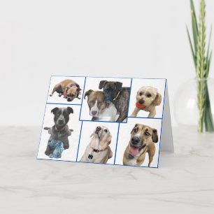 Dogs of Johnston County Card