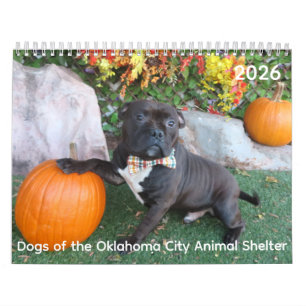 Dogs of the Oklahoma City Animal Shelter Calendar