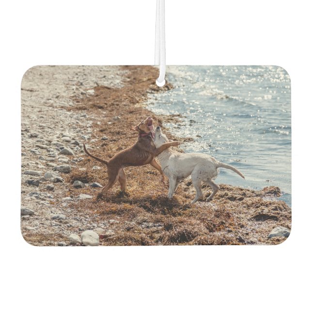 Dogs on beach air freshener (Front)