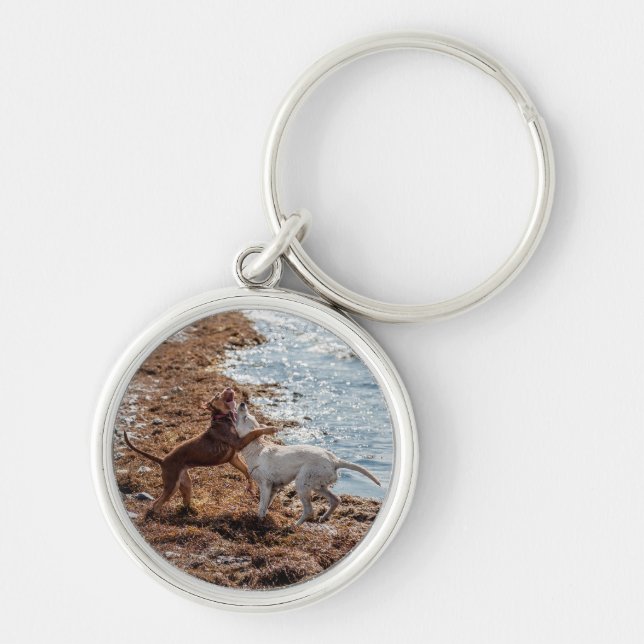 Dogs on beach keychain (Front)