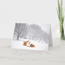 Dogs on Boston Common greeting card