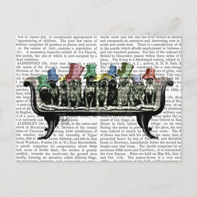 Dogs on Sofa Postcard (Front)