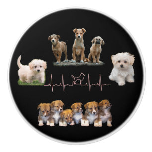 Dogs package, Funny Dogs package Ceramic Knob