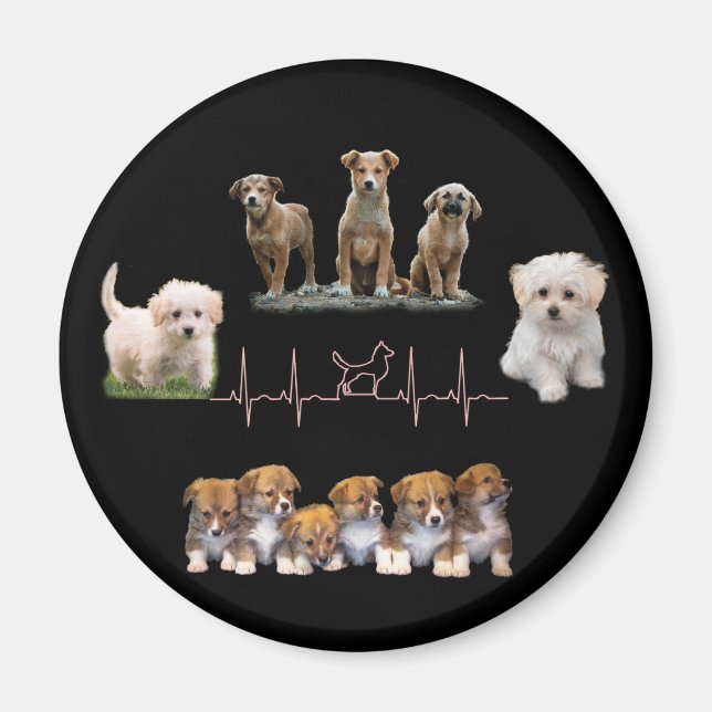 Dogs package, Funny Dogs package Magnet (Front)